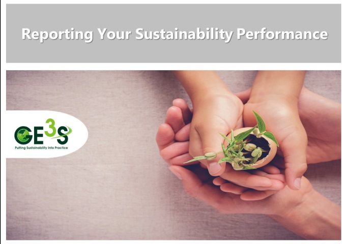 Sustainability Reporting Picture 6-1